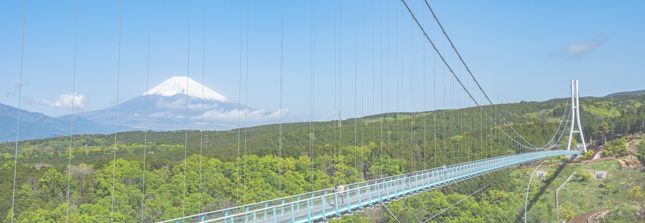 シェアトゥク サービス紹介 トゥクトゥクレンタル